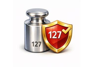 Marking of test weights KERN 920‑351 – oznaczenie odważników numerem seryjnym